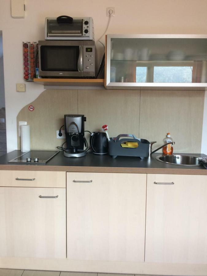 Ferienwohnung Frieser Steindorf am Ossiacher See Luaran gambar